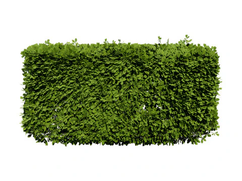 Bush procedurale spazzato dal vento Modello 3D