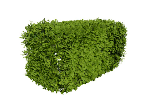 Bush procedurale spazzato dal vento Modello 3D