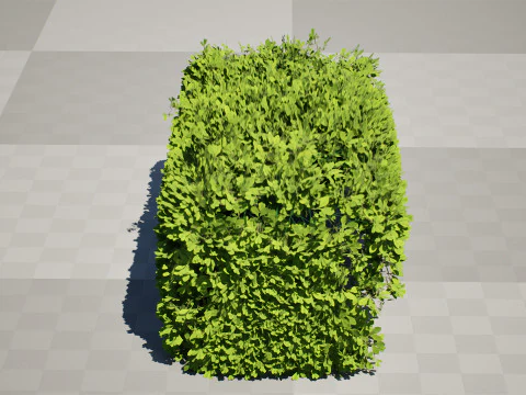 Bush procedurale spazzato dal vento Modello 3D