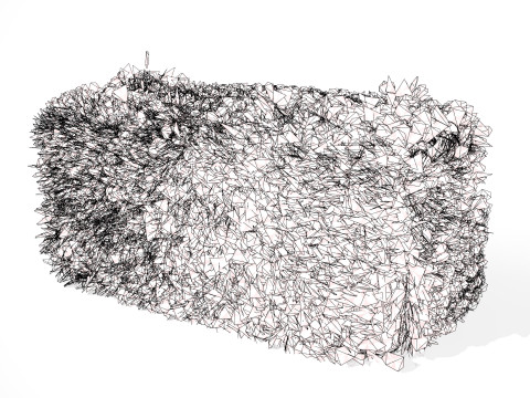 Windswept Procedural Bush Model 3D