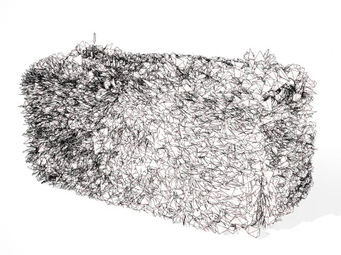 Bush procedurale spazzato dal vento Modello 3D