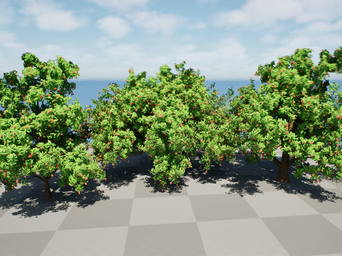 Rambutan Hairy Lychee Tree 3D-Modell