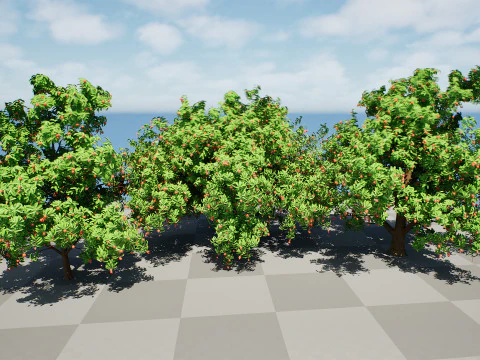 Rambutan Hairy Lychee Tree 3D Model