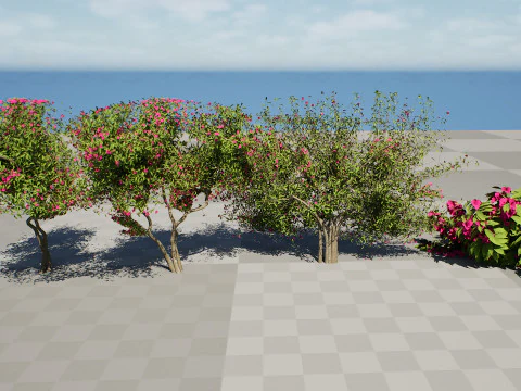 Дерево бугенвілії 3D Модель