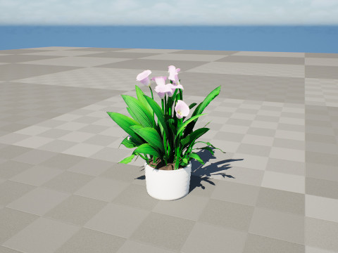Peace Lily Plant Model 3D-Modell