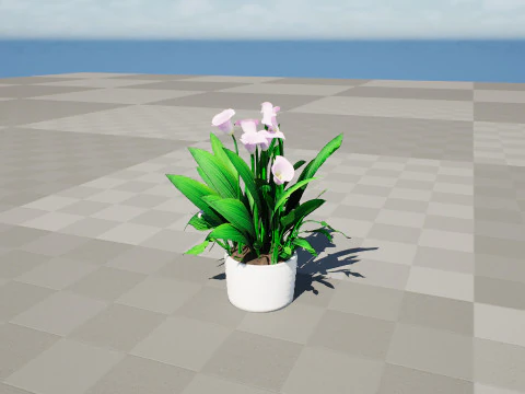 Peace Lily Plant Model 3D Model