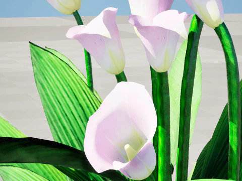 Peace Lily Plant Model 3D Model