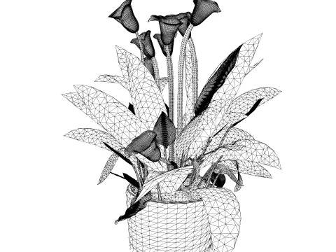 Peace Lily Plant Model 3D Model