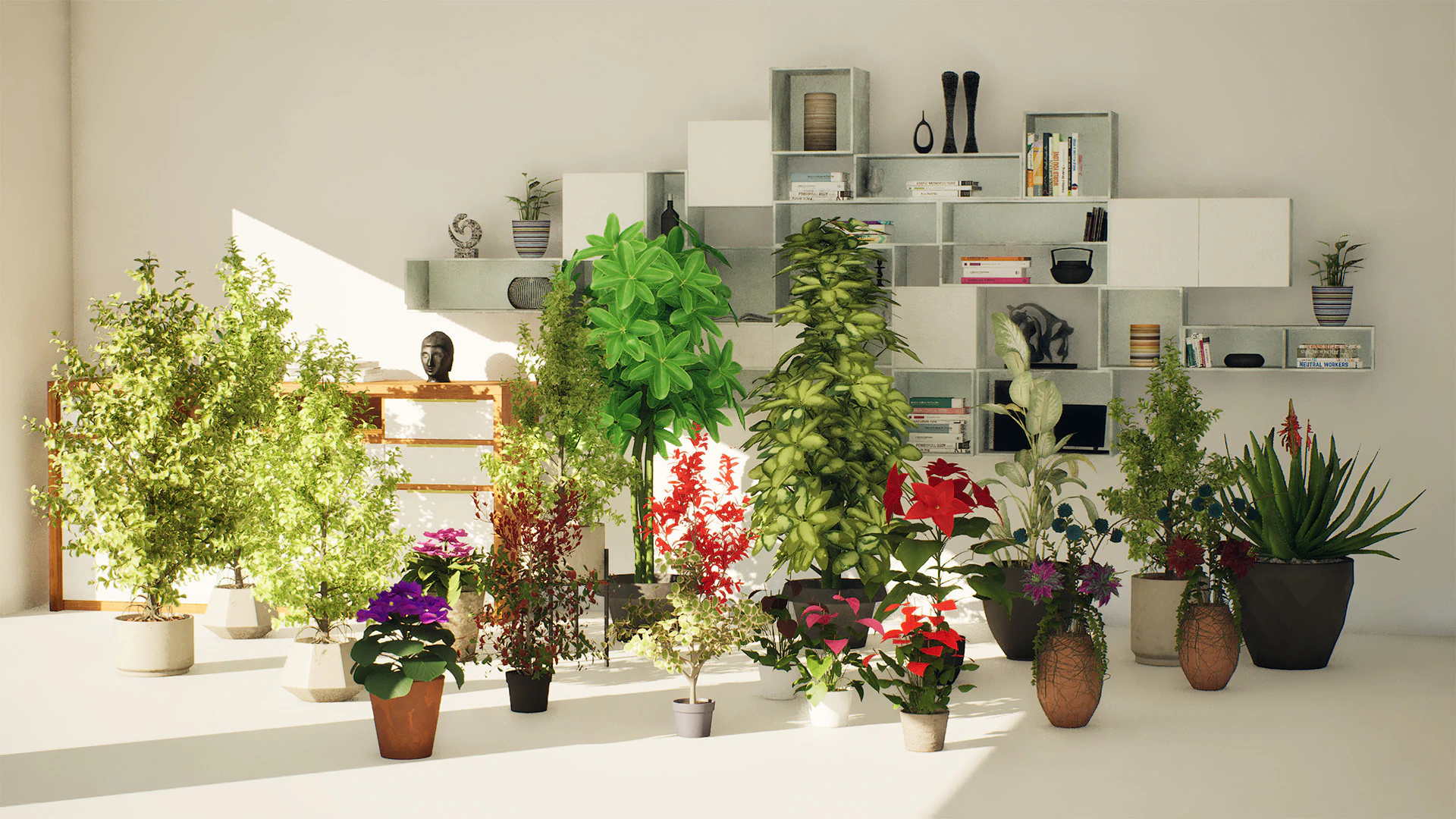 Indoor Plant 3d Collection 3D Model .c4d .max .obj .3ds .fbx .stl .blend 