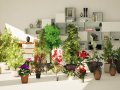 Indoor Plant 3d Collection 3D Model