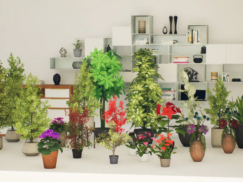 Indoor Plant 3d Collection 3D Model