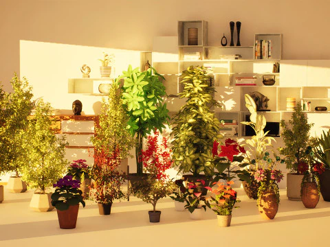 Indoor Plant 3d Collection 3D Model
