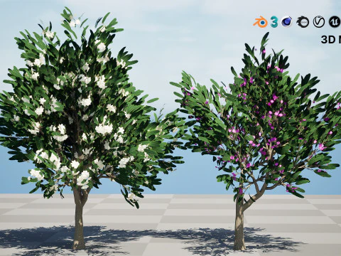 Animated Plumeria 3D Model