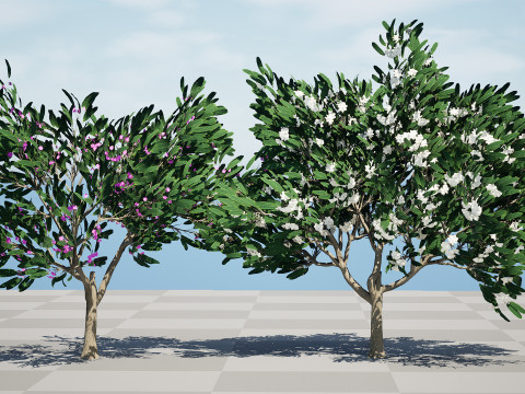 Animated Plumeria 3D Модель