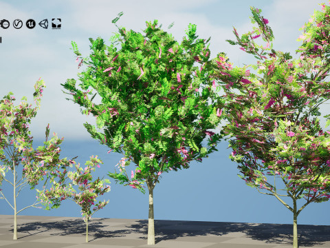 Purple Robe Robinia 3D 모델