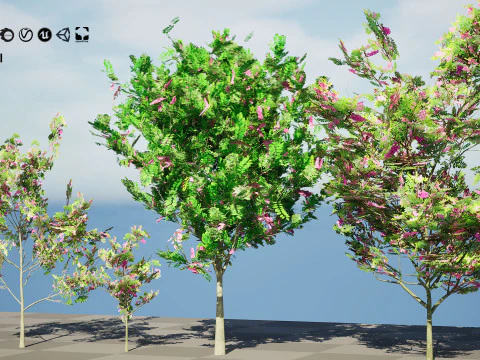 Purple Robe Robinia 3D Model