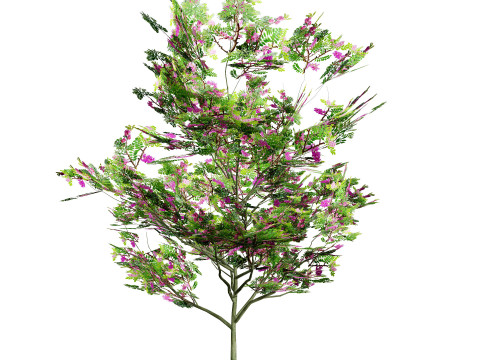 Purple Robe Robinia 3D 모델