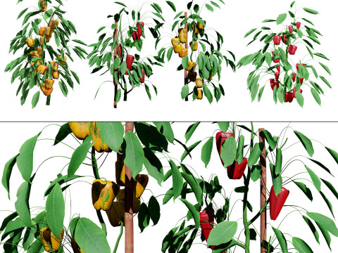 Realistic 3D Capsicum Plant 3D 모델