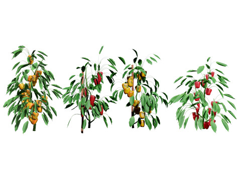 Realistic 3D Capsicum Plant 3D 모델