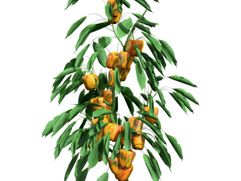 Realistic 3D Capsicum Plant 3D 모델