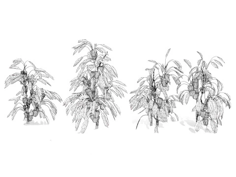 Realistic 3D Capsicum Plant 3D Model