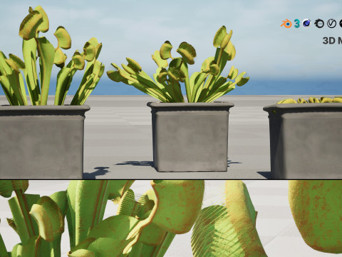 Venus Fly Trap Modelo 3D