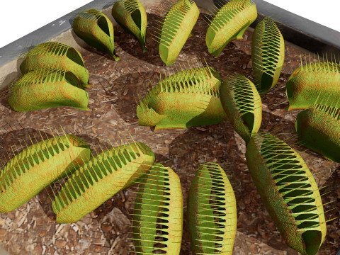 Venus Fly Trap Modelo 3D