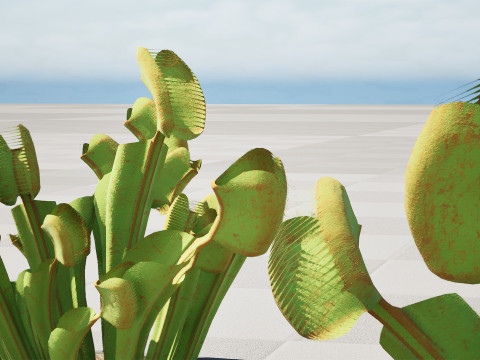 Venus Fly Trap Modelo 3D