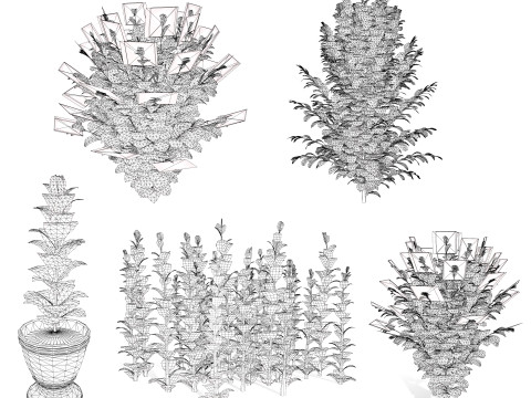Dream Dazzler Shrub Modello 3D