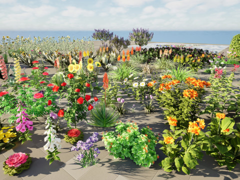 Realistic Low-Poly Outdoor Flowering Plants 3D Model