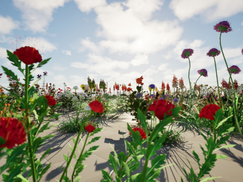Realistic Low-Poly Outdoor Flowering Plants Modelo 3D