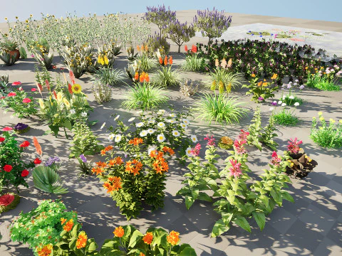 Piante da fiore da esterno realistiche a basso numero di poligoni Modello 3D