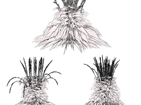 Karl Foerster Feather Reed Grass 3D 模型