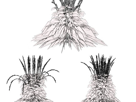 Karl Foerster Feather Reed Grass 3D Model
