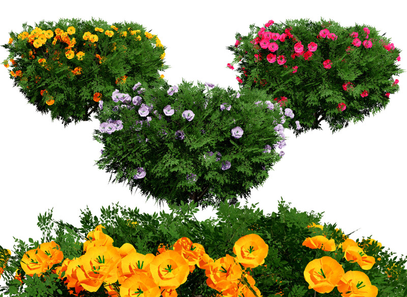 Cameo Flowering Quince Bush Modelo 3D .c4d .max .obj .3ds .fbx .stl .blend
