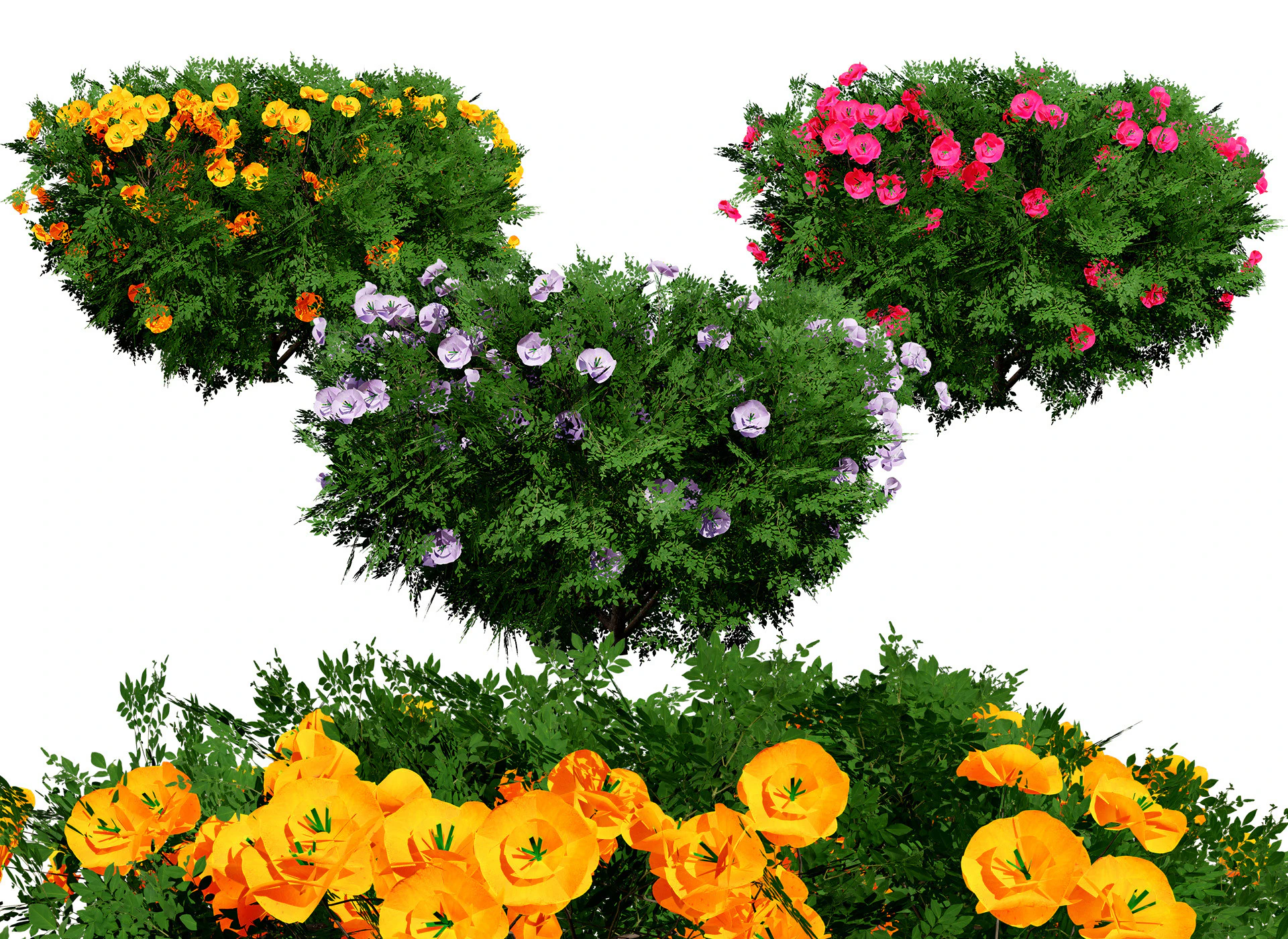 Cameo Flowering Quince Bush 3D Model .c4d .max .obj .3ds .fbx .stl .blend 