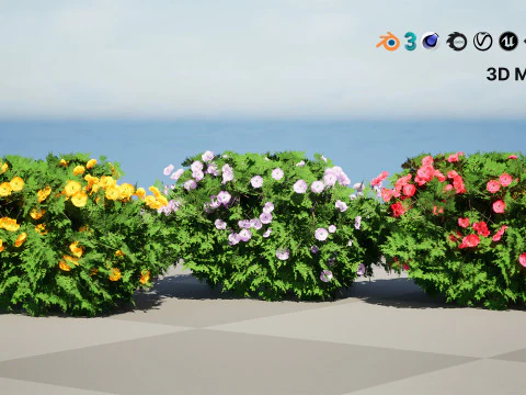Cameo Flowering Quince Bush 3D Model