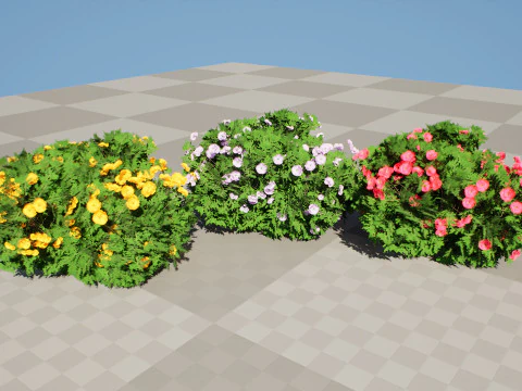 Cameo Flowering Quince Bush 3D Model