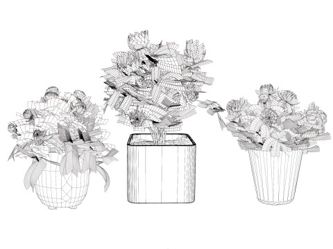 Pink Peony Trio Model 3D