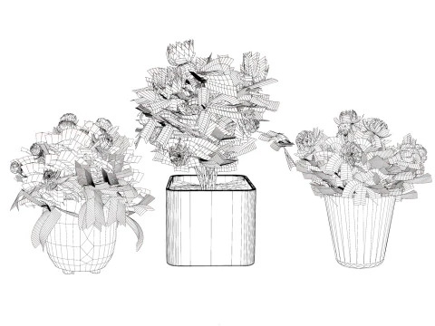 Pink Peony Trio 3D Model