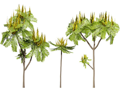 Бразильське вогнище 3D Модель