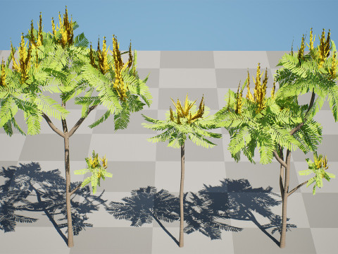 Brazilian Firetree 3D Model