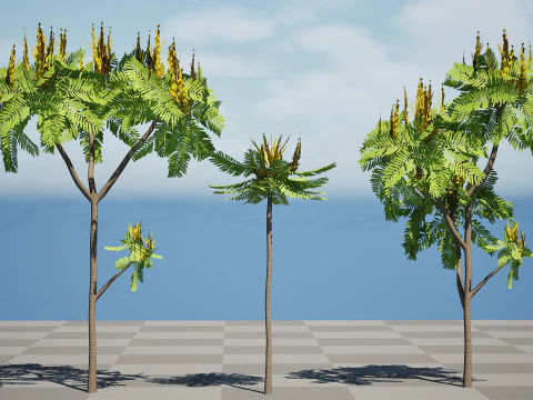 Brazilian Firetree 3D Model