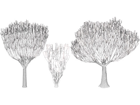 Euphorbia ingens Model 3D