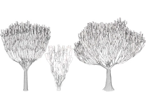 Euphorbia ingens 3D Model
