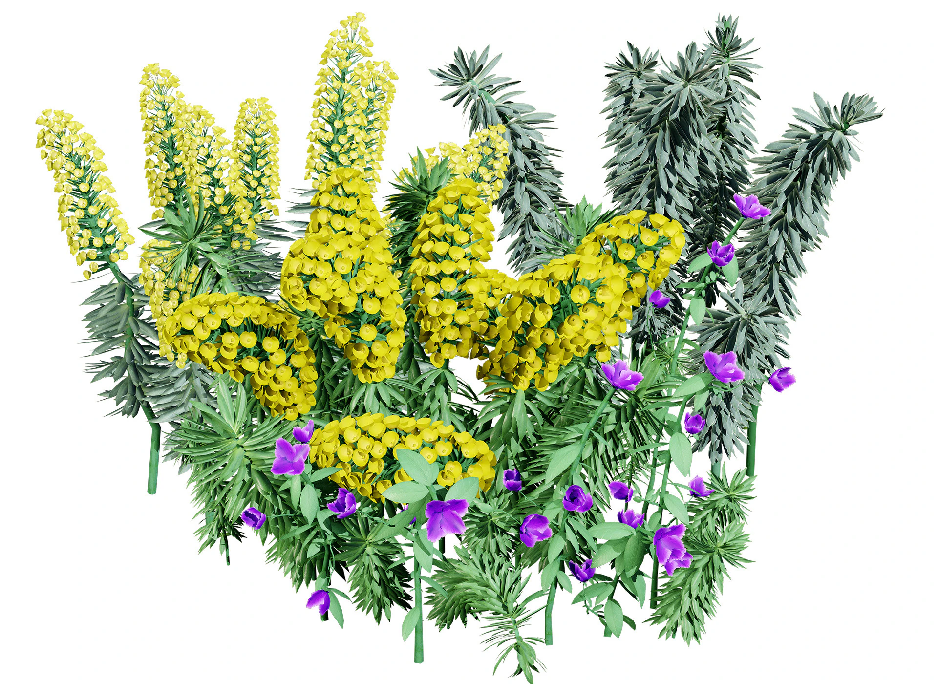 Gopher Spurge 3D Model .c4d .max .obj .3ds .fbx .stl .blend 