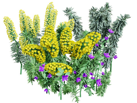 Gopher Spurge 3D Модель