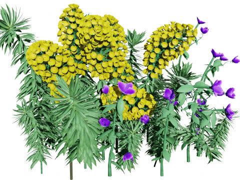 Gopher Spurge 3D Model