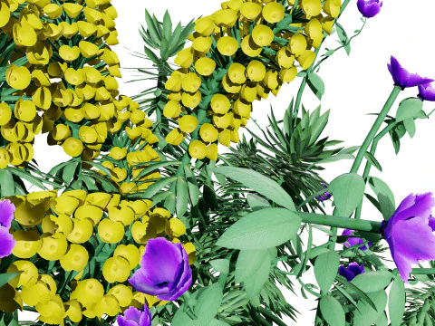 Gopher Spurge 3D Model