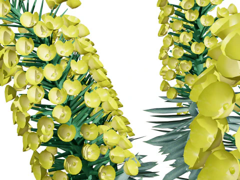 Gopher Spurge 3D Model